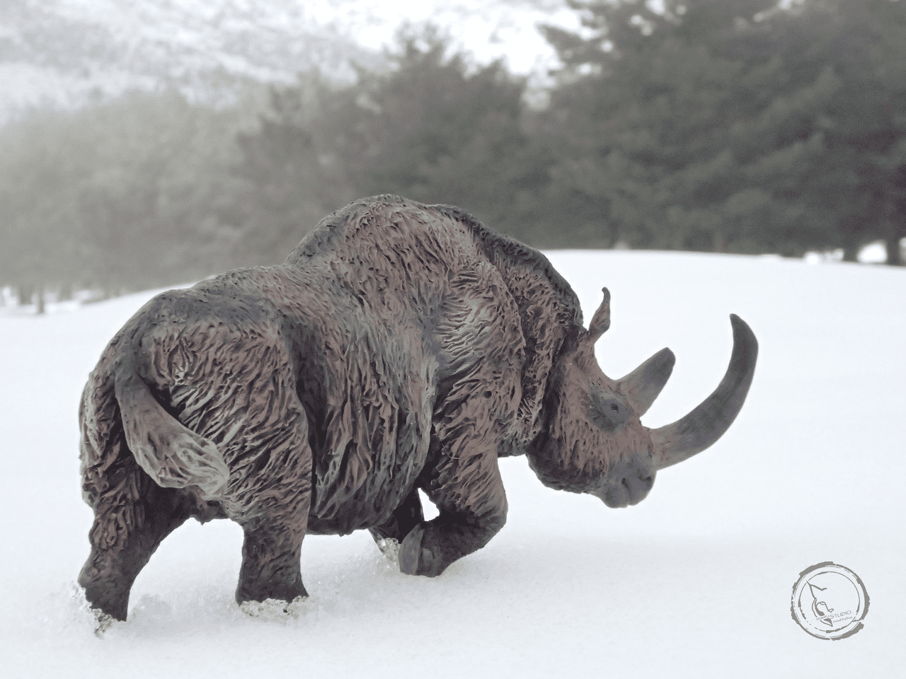 Wollnashorn Lebensraum