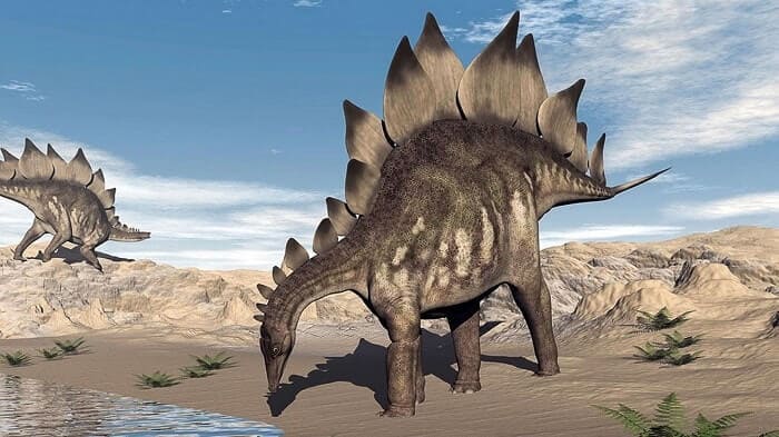 Lebensraum Stegosaurus