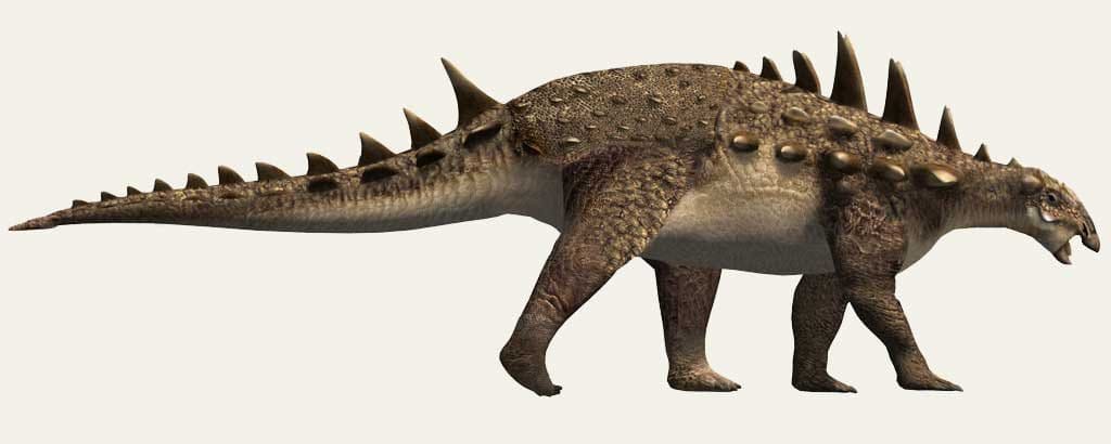 Polacanthus