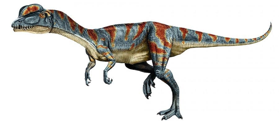 dilophosaurus ein gefährlicher fleischfresser