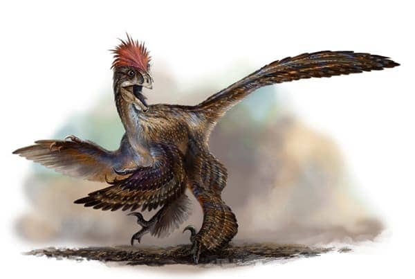 anchiornis_huxleyi
