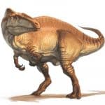 Akrokanthosaurus