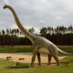Brachiosaurus Dinosaurier
