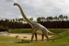 Brachiosaurus