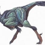 Oviraptor