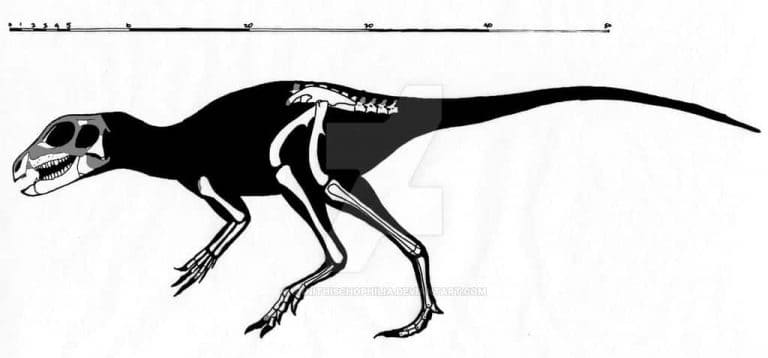 Abrictosaurus ein sehr aufgewecktes Reptil ⋆