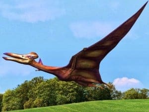 Pterosaurios-fliegende-reptilien