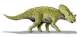 Brachyceratops Dinosaurier