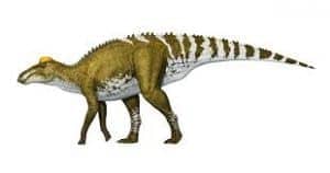 Edmontosaurus