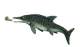 Ichthyosaurus