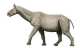 Paraceratherium