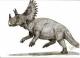 Ceratops Dionosaurier
