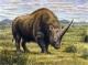 Elasmotherium