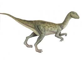 Fulgurotherium