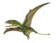 Dimorphodon