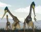 Quetzalcoatlus