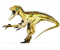 Saurornitholestes