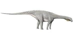 Magyarosaurus