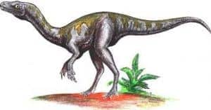 Nyasasaurus
