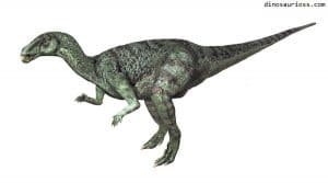 Camptosaurus
