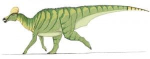Beschreibung Corythosaurus