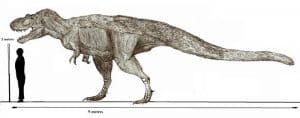 Daspletosaurus