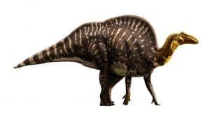 Ouranosaurus