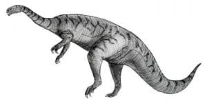 Plateosaurus