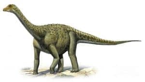Titanosaurus