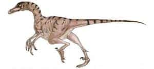 Troodon