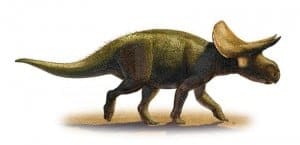 Turanoceratops