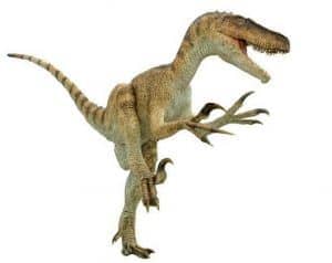 Utahraptor