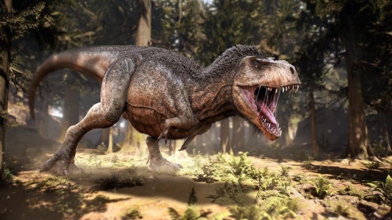 Tyrannosaurus Rex: der grösste Zerstörer der Weltgeschichte ⋆