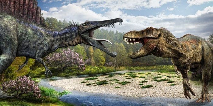 Tyrannosaurus vs. Spinosaurus