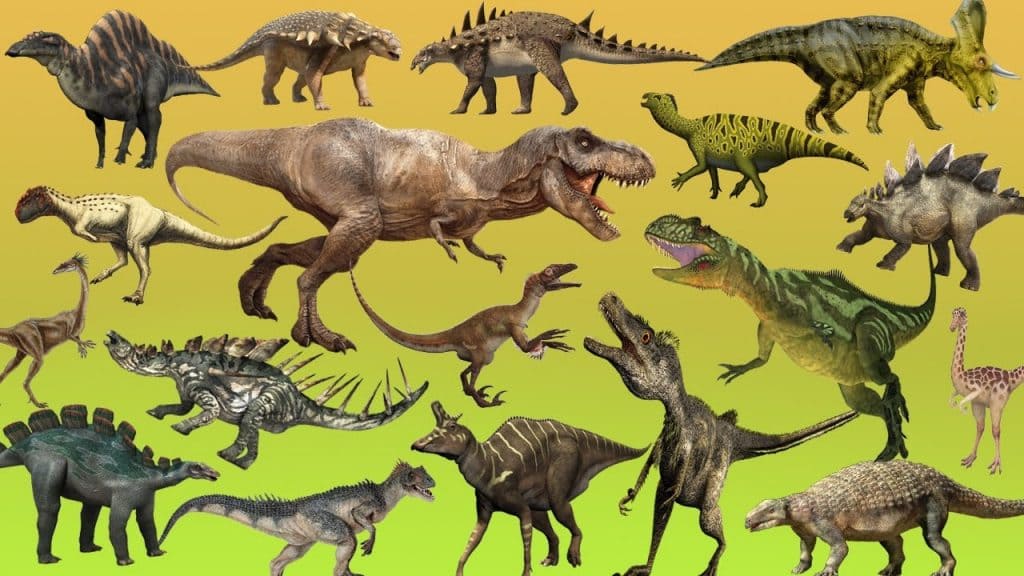 Wie Viele Dinosaurier Arten Gibt Es dinosaurierwelt.com