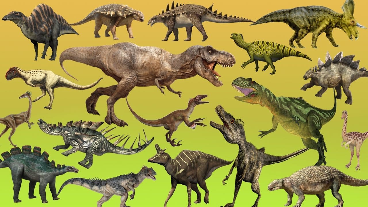 Wie viele Dinosaurierarten gab es? ⋆ Dinosaurierwelt.com