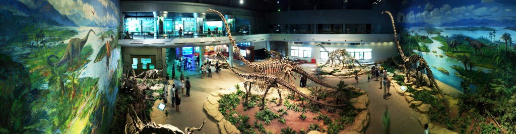 Dinosaurier Museum