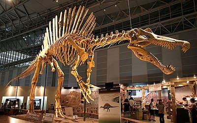 Dinosaurier Museum